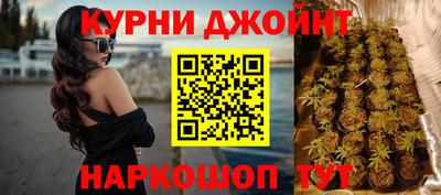 стаф Аргун