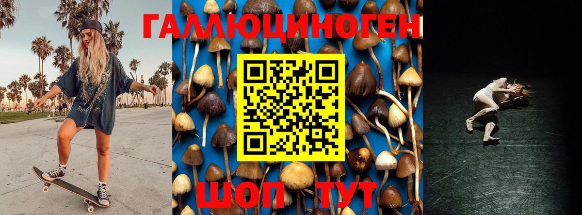 Воронеж  Псилоцибиновые грибы Magic Shrooms  как найти закладки  Вход с VPN  Псилоцибиновые грибы Psilocybine cubensis 