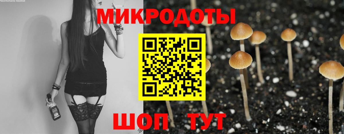 Галлюциногенные грибы прущие грибы Воронеж